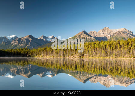 Herbert Lake with morning atmosphere, reflection of the Bow Range, Banff National Park, Canadian Rocky Mountains, Alberta Stock Photo