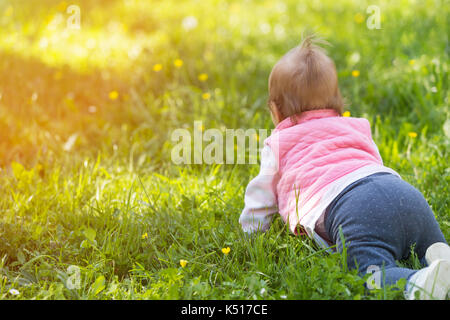 One year old baby crawling in the grass facing away from the camera Stock Photo