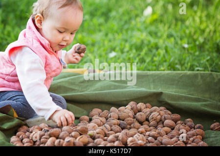 One year old baby sitting on the pile of walnuts and hazelnuts drying in the sun, on a lawn Stock Photo