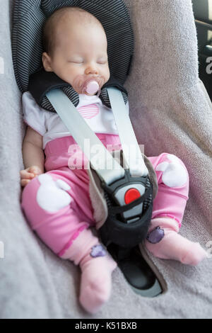 Newborn baby girl sitting in a car seat with safety belt buckled up Stock Photo Alamy