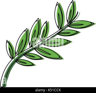 olive branch leaf peace flora symbol Stock Vector