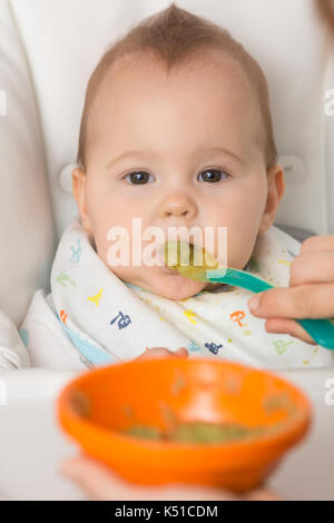 Baby girl eating mashed avocado and green vegetable from an orange plastic bowl, food on a plastic spoon; concept of family life, healthy eating and b Stock Photo