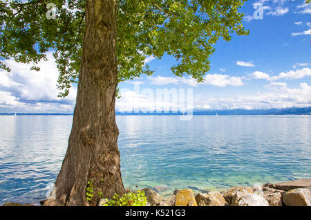 View on lake constance, Bodensee Switzerland Stock Photo