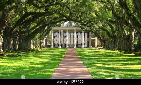 Tree lined entrance to Oak Alley southern plantation house in Vacherie, Louisiana Stock Photo