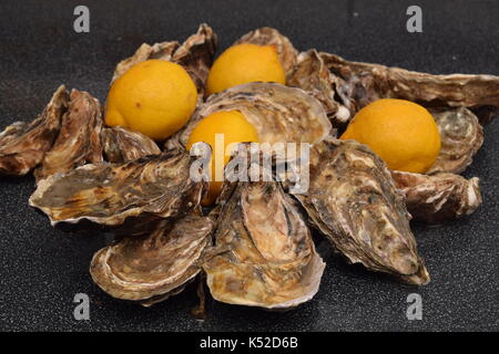 Fresh oysters on a surface Stock Photo