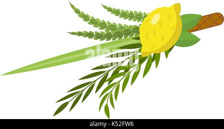 Sukkot set of herbs and spices of the etrog, lulav, Arava, Hadas. Isolated on white background. Vector illustration. Stock Vector