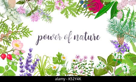 Big vector set of beautiful flowers and plants. Ornament with text power of nature Stock Vector