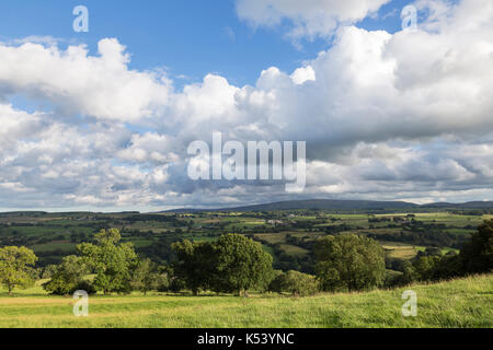 Hadrian's Wall, Cumbria, England - the view to the south, looking towards Cold Fell, from beside Pike Hill signal station and turret 52A (Banks East) Stock Photo