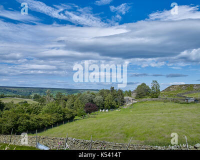 Sunny July moorland view looking east towards Pateley Bridge from Moorhouses with distinctive blue sky and white clouds Stock Photo