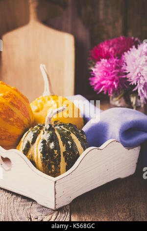 Autumn cozy home decorations. Still life with miniature pumpkins  on wooden rustic background Stock Photo