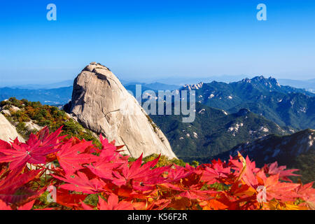 Bukhansan National Park in Autumn, Seoul in South Korea. Stock Photo