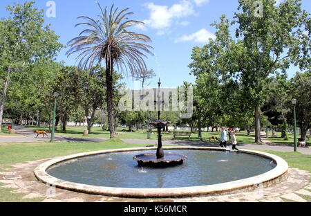 Fountain in De Waal Park, Cape Town Stock Photo