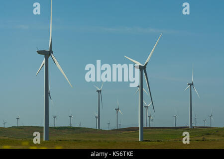 wind turbines near Rio Vista, Central Valley, CA Stock Photo