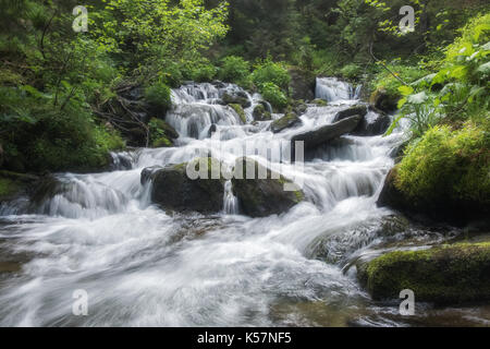 Beauty waterfall on mountain in summer time. Flowing water in the lush forest. Wilderness scene Stock Photo