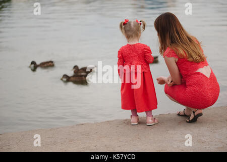 Little girl feeding duck in a summer park. Children feed ...
