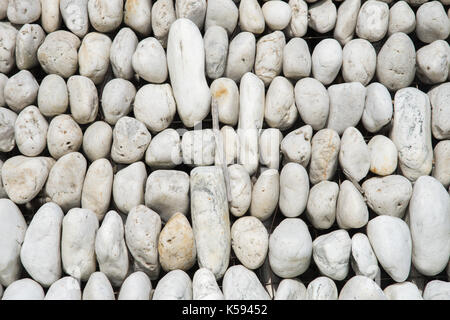 Group of assorted smooth rocks lined up in rows in closeup, full frame detail. Stock Photo