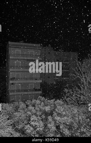 Snow falling over trees and city buildings on cold winter night. Black and white. Stock Photo
