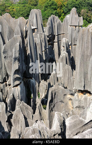 Stone Forrest Park scenery in Kunming,China. Stock Photo
