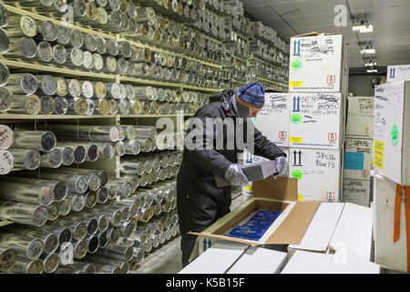 Denver, Colorado - Geoff Hargreaves, curator at the National Ice Core Laboratory, places insulation in a box of ice cores being shipped to a scientist Stock Photo