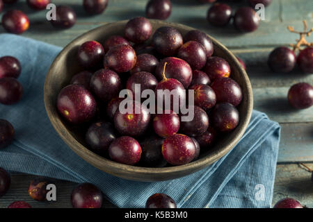 Homemade Sweet Muscadine Grapes in a Bowl Stock Photo