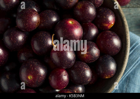 Homemade Sweet Muscadine Grapes in a Bowl Stock Photo