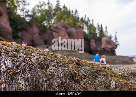 August 22, 2017 - Hopewell Rocks, New Brunswick, Canada. The Hopwell Rocks also called the Flowerpots Rocks or simply The Rocks are formations caused b Stock Photo