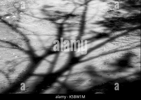 Black & white view of tree shadows on the Arkansas RIver which runs through the downtown historic district of the small mountain town of Salida, Color Stock Photo