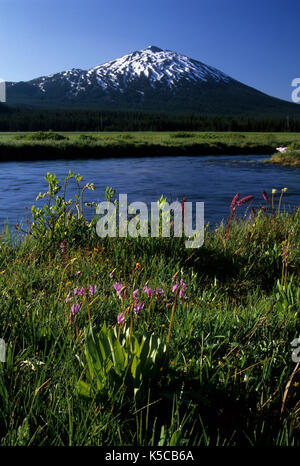 Fall Creek with Mt Bachelor at Sparks Lake meadow, Cascade Lakes National Scenic Byway, Deschutes National Forest, Oregon Stock Photo
