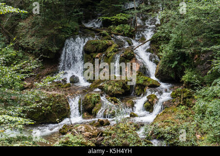 Small cascades in the forest Stock Photo