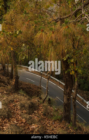 Winding road in Kumaon, Uttarakhand, India Stock Photo