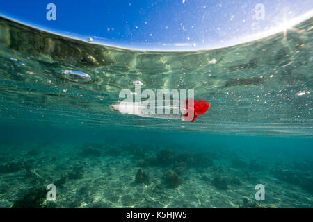 Discarded plastic bottle floating in ocean over coral reef Stock Photo