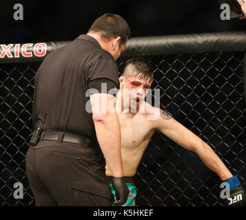 Brandon Moreno takes on Sergio Pettis during the UFC Fight Night 114 at Arena Ciudad de Mexico in Mexico City.  Featuring: Brandon Moreno Where: Mexico City, Mexico When: 06 Aug 2017 Credit: WENN.com Stock Photo