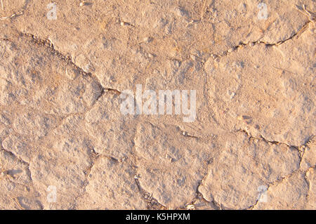 Texture of the ground, soil close-up, broken ground background Stock Photo