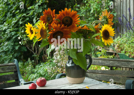 A bunch of sunflowers, yellow, orange, red, brown in a rustic jug placed on a garden table. Stock Photo