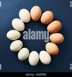 A ring of chicken eggs in various natural colors on a navy background Stock Photo