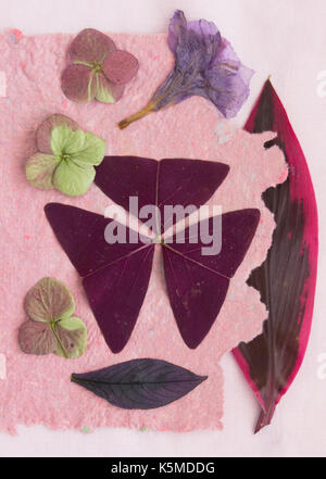 Still life of dried leaves and flowers in purple and pink. Stock Photo