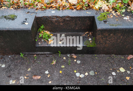Empty wet stone stairs covered with red fallen leaves in autumnal park Stock Photo