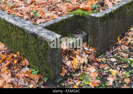 Empty stone stairs covered with red fallen leaves in autumnal park Stock Photo