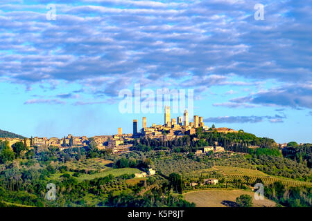 The skyline of San Gimignano, build on a hill with trees, olive orchards and vineyards Stock Photo