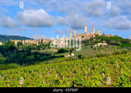 The skyline of San Gimignano, build on a hill with trees, olive orchards and vineyards Stock Photo
