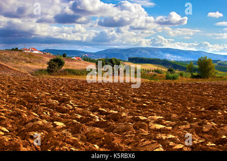 A late summer view of a ploughed field in rural Portugal. Stock Photo