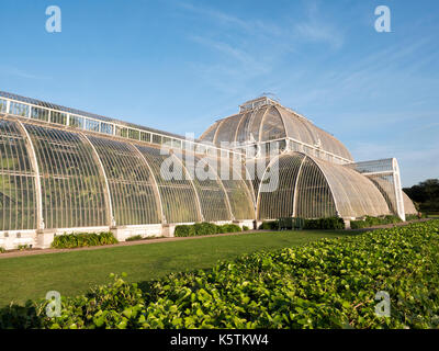 The Palm House, Kew Botanical Gardens, Richmond, London, England, UK Stock Photo