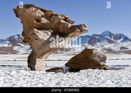Arbol de piedra in the snow, Árbol de Piedra, stone tree, Siloli desert, Altiplano, Potosi, border to Chile, Bolivia Stock Photo