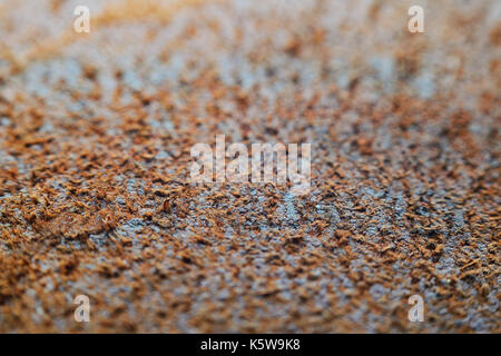 Dark Brown Leather Texture as Background Close-up Stock Photo
