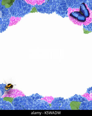 Frame of blue and pink hydrangeas with a butterfly and a bumblebee isolated on white Stock Photo