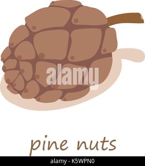 Pine nuts icon, isometric 3d style Stock Vector