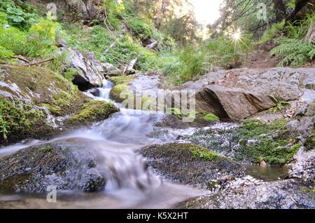 Forest stream in Martinske hole, Martin region, Slovakia Stock Photo