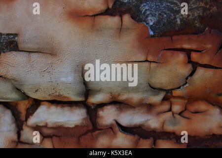 Close up of heavy rust on an eaves trough. Stock Photo