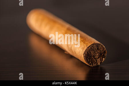 Cuban cigar end. Stock Photo