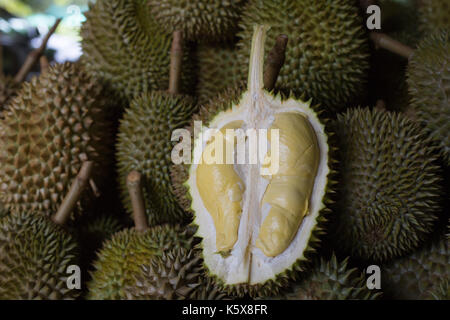 Fresh durian in the market Stock Photo